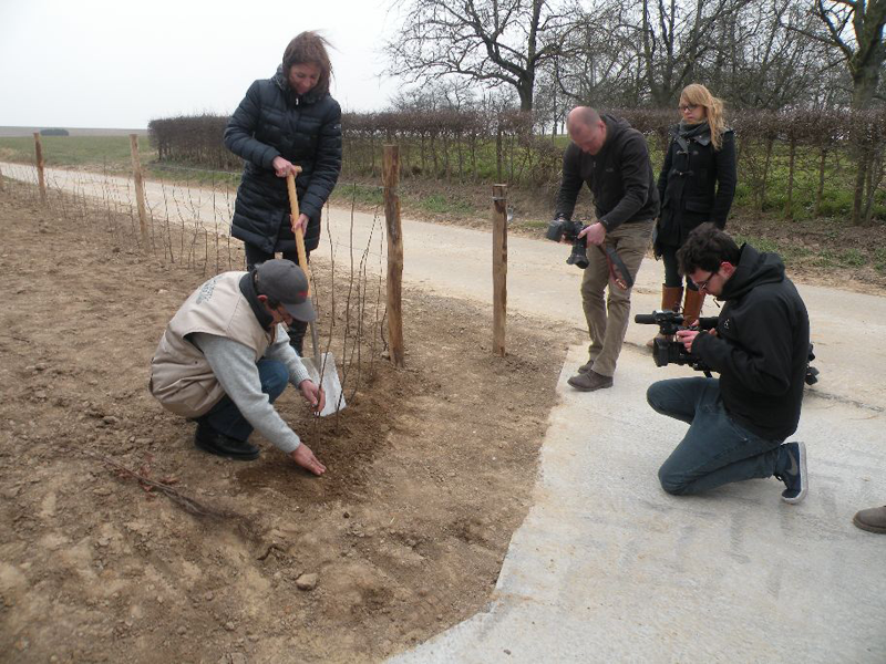 Gedeputeerde Moors start met de eerste spadesteek.