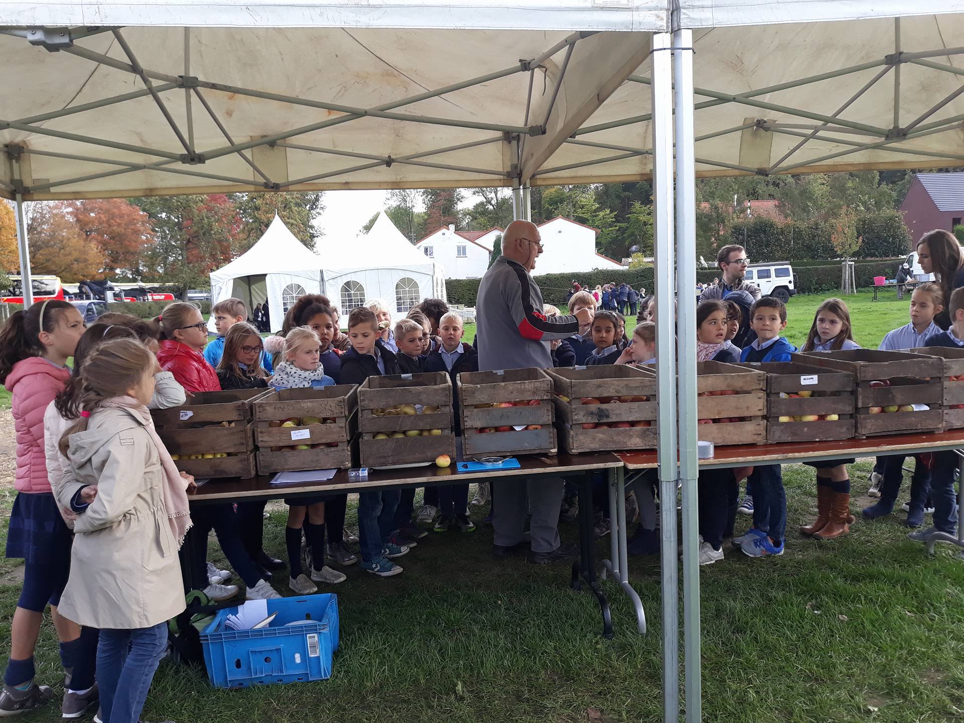 Kinderen op buitenactiviteit van boerderij